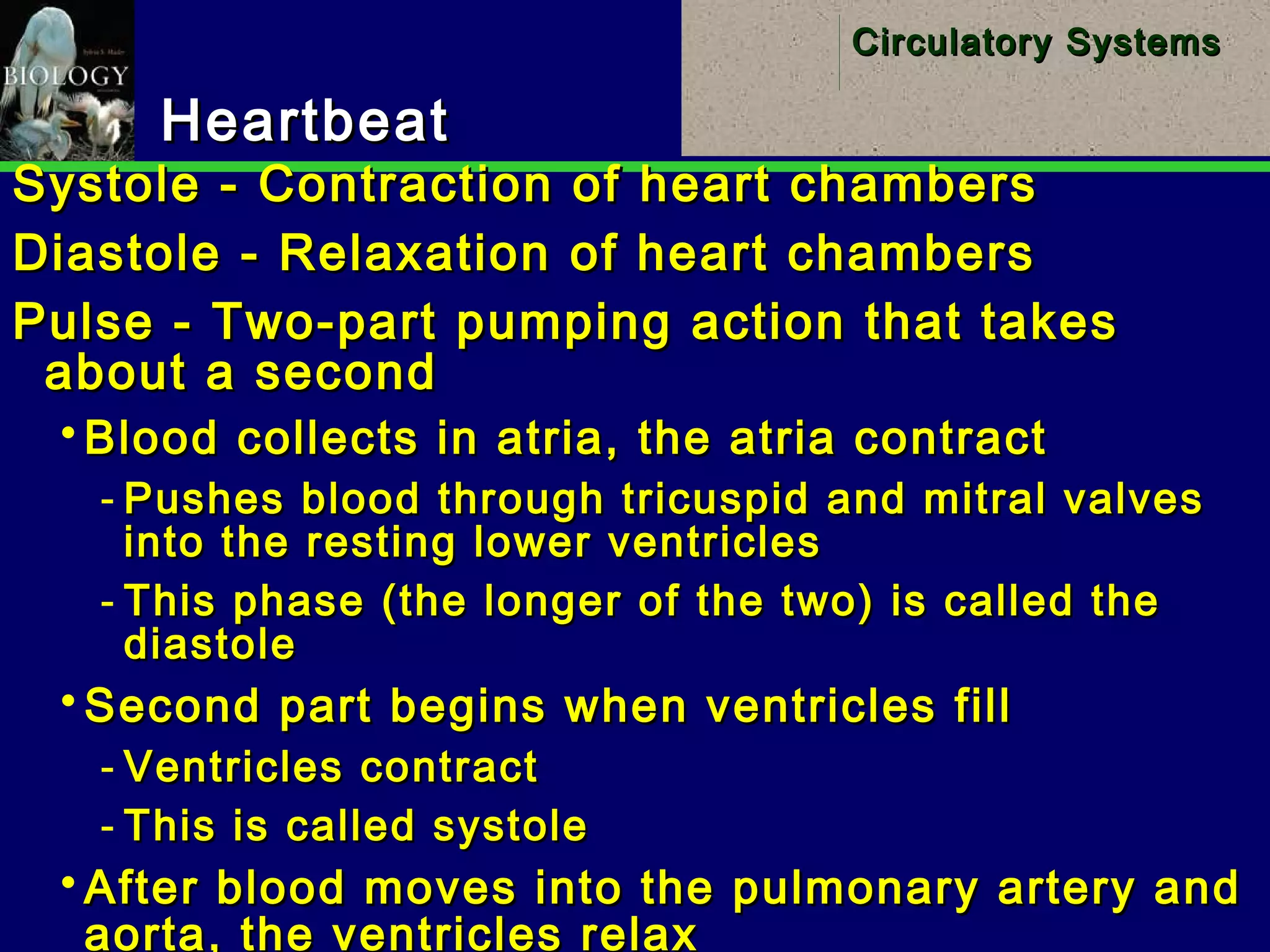 17
Circulatory SystemsCirculatory Systems
HeartbeatHeartbeat
Systole - Contraction of heart chambersSystole - Contraction of heart chambers
Diastole - Relaxation of heart chambersDiastole - Relaxation of heart chambers
Pulse - Two-part pumping action that takesPulse - Two-part pumping action that takes
about a secondabout a second
 Blood collects in atria, the atria contractBlood collects in atria, the atria contract
­ Pushes blood through tricuspid and mitral valvesPushes blood through tricuspid and mitral valves
into the resting lower ventriclesinto the resting lower ventricles
­ This phase (the longer of the two) is called theThis phase (the longer of the two) is called the
diastolediastole
 Second part begins when ventricles fillSecond part begins when ventricles fill
­ Ventricles contractVentricles contract
­ This is called systoleThis is called systole
 After blood moves into the pulmonary artery andAfter blood moves into the pulmonary artery and
aorta, the ventricles relaxaorta, the ventricles relax
 