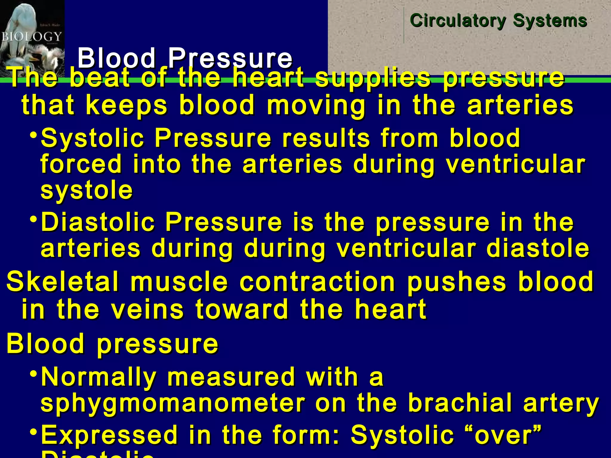 24
Circulatory SystemsCirculatory Systems
Blood PressureBlood Pressure
The beat of the heart supplies pressureThe beat of the heart supplies pressure
that keeps blood moving in the arteriesthat keeps blood moving in the arteries
Systolic Pressure results from bloodSystolic Pressure results from blood
forced into the arteries during ventricularforced into the arteries during ventricular
systolesystole
Diastolic Pressure is the pressure in theDiastolic Pressure is the pressure in the
arteries during during ventricular diastolearteries during during ventricular diastole
Skeletal muscle contraction pushes bloodSkeletal muscle contraction pushes blood
in the veins toward the heartin the veins toward the heart
Blood pressureBlood pressure
Normally measured with aNormally measured with a
sphygmomanometer on the brachial arterysphygmomanometer on the brachial artery
Expressed in the form: Systolic “over”Expressed in the form: Systolic “over”
 