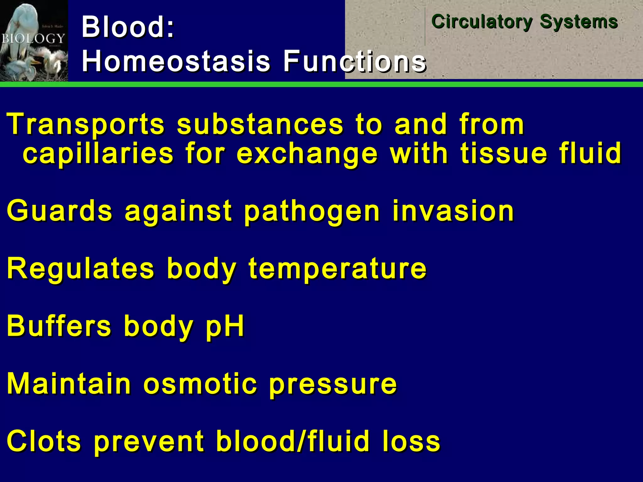 26
Circulatory SystemsCirculatory Systems
Blood:Blood:
Homeostasis FunctionsHomeostasis Functions
Transports substances to and fromTransports substances to and from
capillaries for exchange with tissue fluidcapillaries for exchange with tissue fluid
Guards against pathogen invasionGuards against pathogen invasion
Regulates body temperatureRegulates body temperature
Buffers body pHBuffers body pH
Maintain osmotic pressureMaintain osmotic pressure
Clots prevent blood/fluid lossClots prevent blood/fluid loss
 