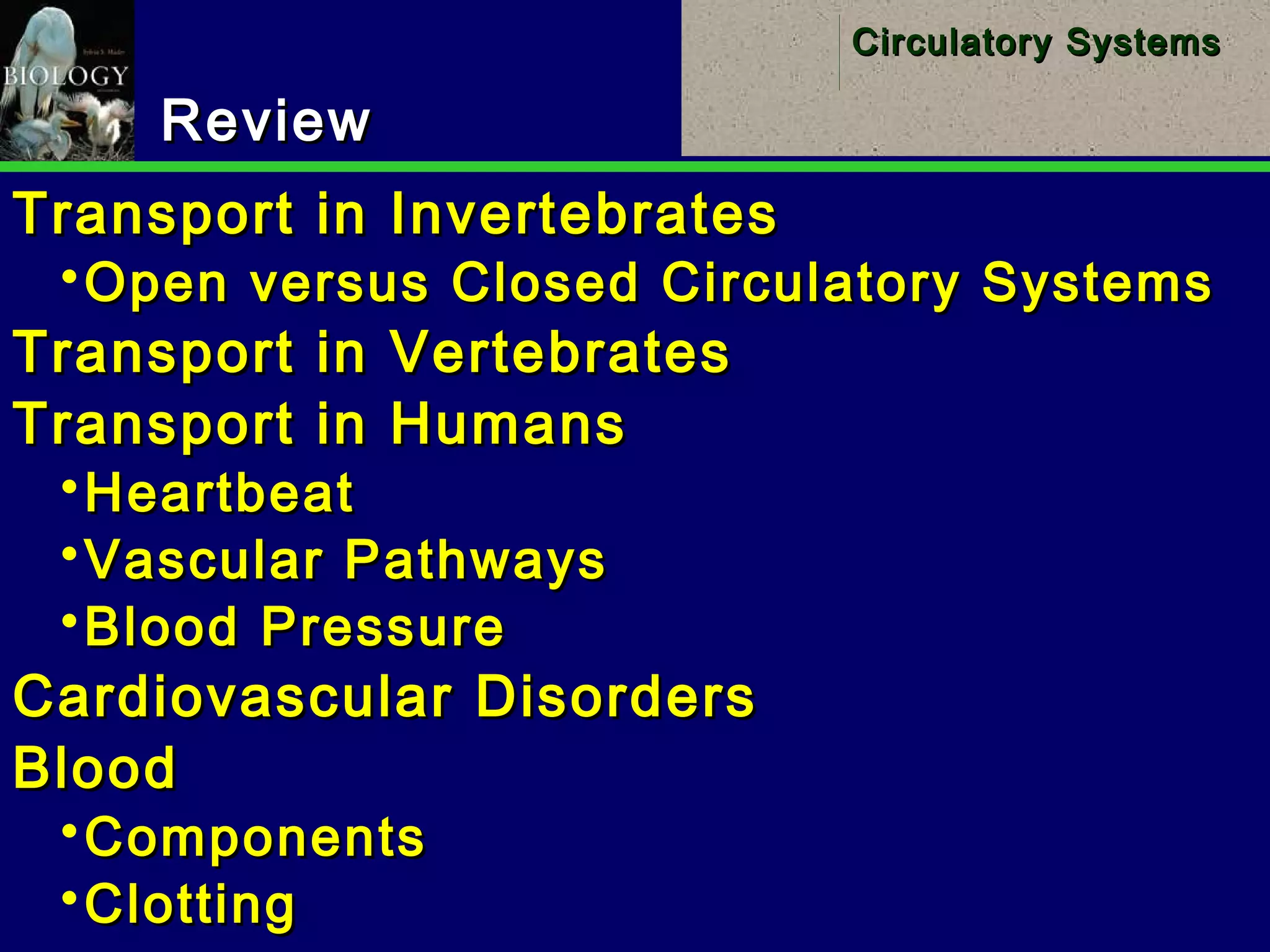 35
Circulatory SystemsCirculatory Systems
ReviewReview
Transport in InvertebratesTransport in Invertebrates
Open versus Closed Circulatory SystemsOpen versus Closed Circulatory Systems
Transport in VertebratesTransport in Vertebrates
Transport in HumansTransport in Humans
HeartbeatHeartbeat
Vascular PathwaysVascular Pathways
Blood PressureBlood Pressure
Cardiovascular DisordersCardiovascular Disorders
BloodBlood
ComponentsComponents
ClottingClotting
 