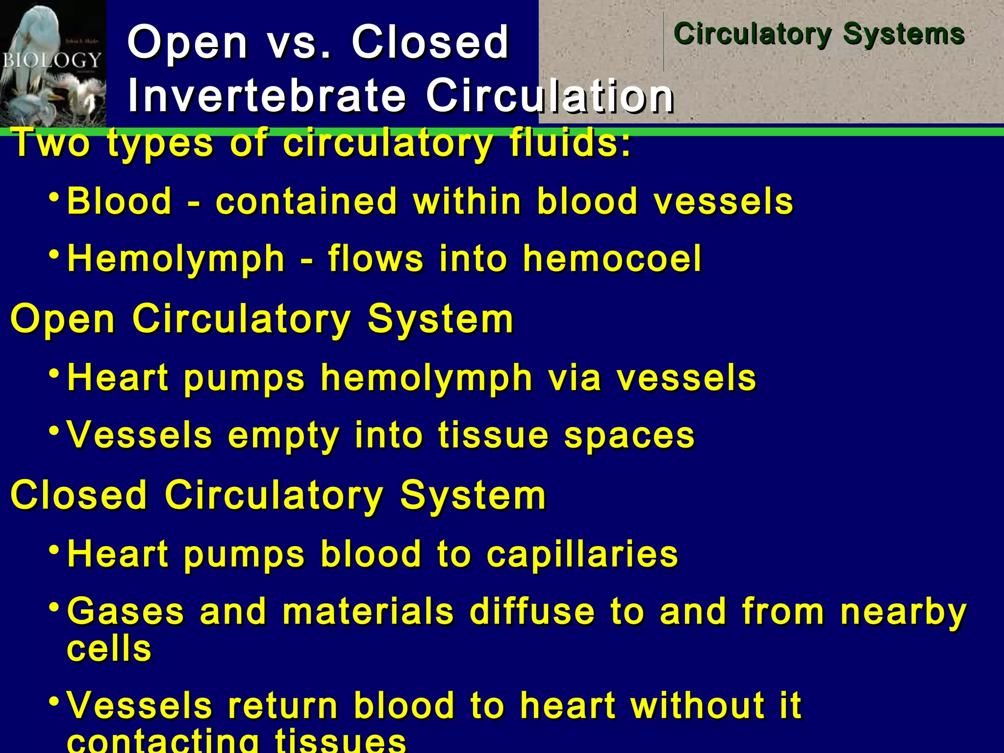 5
Circulatory SystemsCirculatory Systems
Open vs. ClosedOpen vs. Closed
Invertebrate CirculationInvertebrate Circulation
Two types of circulatory fluids:Two types of circulatory fluids:
 Blood - contained within blood vesselsBlood - contained within blood vessels
 Hemolymph - flows into hemocoelHemolymph - flows into hemocoel
Open Circulatory SystemOpen Circulatory System
 Heart pumps hemolymph via vesselsHeart pumps hemolymph via vessels
 Vessels empty into tissue spacesVessels empty into tissue spaces
Closed Circulatory SystemClosed Circulatory System
 Heart pumps blood to capillariesHeart pumps blood to capillaries
 Gases and materials diffuse to and from nearbyGases and materials diffuse to and from nearby
cellscells
 Vessels return blood to heart without itVessels return blood to heart without it
 