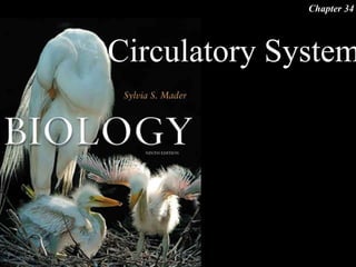 Circulatory System
Chapter 34
 