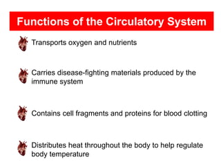 Chapter 34 P1 Circulatory system.ppt