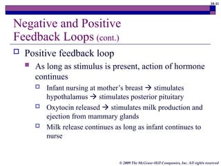 34-11
© 2009 The McGraw-Hill Companies, Inc. All rights reserved
Negative and Positive
Feedback Loops (cont.)
 Positive feedback loop
 As long as stimulus is present, action of hormone
continues
 Infant nursing at mother’s breast  stimulates
hypothalamus  stimulates posterior pituitary
 Oxytocin released  stimulates milk production and
ejection from mammary glands
 Milk release continues as long as infant continues to
nurse
 