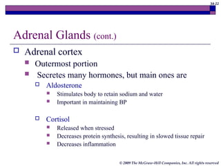 34-22
© 2009 The McGraw-Hill Companies, Inc. All rights reserved
Adrenal Glands (cont.)
 Adrenal cortex
 Outermost portion
 Secretes many hormones, but main ones are
 Aldosterone
 Stimulates body to retain sodium and water
 Important in maintaining BP
 Cortisol
 Released when stressed
 Decreases protein synthesis, resulting in slowed tissue repair
 Decreases inflammation
 