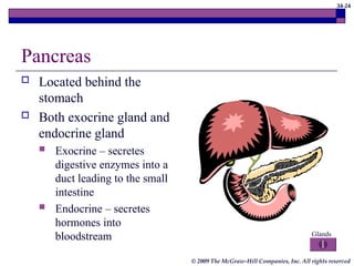 34-24
© 2009 The McGraw-Hill Companies, Inc. All rights reserved
Pancreas
 Located behind the
stomach
 Both exocrine gland and
endocrine gland
 Exocrine – secretes
digestive enzymes into a
duct leading to the small
intestine
 Endocrine – secretes
hormones into
bloodstream Glands
 