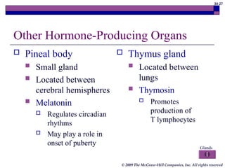 34-27
© 2009 The McGraw-Hill Companies, Inc. All rights reserved
Other Hormone-Producing Organs
 Pineal body
 Small gland
 Located between
cerebral hemispheres
 Melatonin
 Regulates circadian
rhythms
 May play a role in
onset of puberty
 Thymus gland
 Located between
lungs
 Thymosin
 Promotes
production of
T lymphocytes
Glands
 