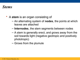 Comprehensive Overview of Plant Structure, Growth, and Development in ...