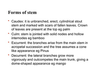 Comprehensive Overview of Plant Structure, Growth, and Development in ...