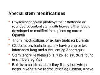 Comprehensive Overview of Plant Structure, Growth, and Development in ...