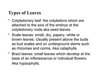 Comprehensive Overview of Plant Structure, Growth, and Development in ...