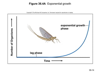 Figure 36.4A Exponential growth

                      Copyright © The McGraw-Hill Companies, Inc. Permission required for reproduction or display.




                                                                                         exponential growth
                                                                                         phase
Number of Organisms




                            lag phase


                                                        Time


                                                                                                                     36-14
 