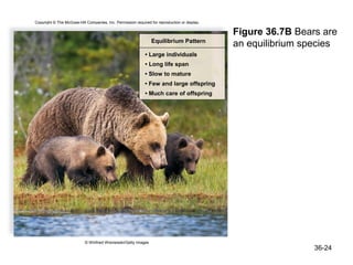 Copyright © The McGraw-Hill Companies, Inc. Permission required for reproduction or display.

                                                                                               Figure 36.7B Bears are
                                                                 Equilibrium Pattern
                                                                                               an equilibrium species
                                                             • Large individuals
                                                             • Long life span
                                                             • Slow to mature
                                                             • Few and large offspring
                                                             • Much care of offspring




                           © Winfried Wisniewski/Getty Images
                                                                                                                36-24
 