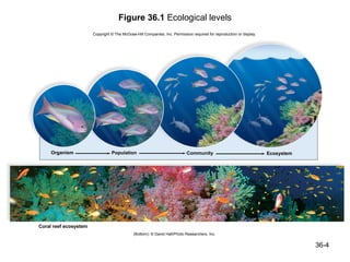 Figure 36.1 Ecological levels
                       Copyright © The McGraw-Hill Companies, Inc. Permission required for reproduction or display.




     Organism                    Population                                Community                                  Ecosystem




Coral reef ecosystem
                                             (Bottom): © David Hall/Photo Researchers, Inc.


                                                                                                                                  36-4
 
