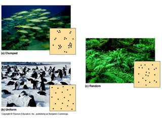 Bio 100 Chapter 36