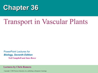 Copyright © 2005 Pearson Education, Inc. publishing as Benjamin Cummings
PowerPoint Lectures for
Biology, Seventh Edition
Neil Campbell and Jane Reece
Lectures by Chris Romero
Chapter 36
Transport in Vascular Plants
 