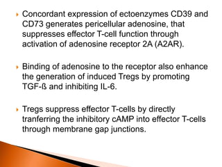  Concordant expression of ectoenzymes CD39 and
CD73 generates pericellular adenosine, that
suppresses effector T-cell function through
activation of adenosine receptor 2A (A2AR).
 Binding of adenosine to the receptor also enhance
the generation of induced Tregs by promoting
TGF-ß and inhibiting IL-6.
 Tregs suppress effector T-cells by directly
tranferring the inhibitory cAMP into effector T-cells
through membrane gap junctions.
 
