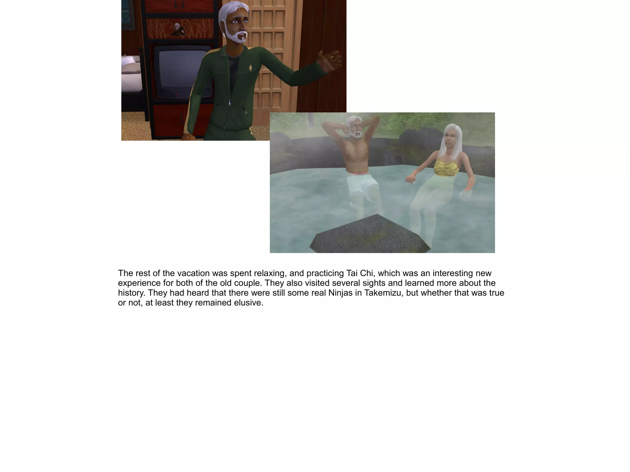 The rest of the vacation was spent relaxing, and practicing Tai Chi, which was an interesting new
experience for both of the old couple. They also visited several sights and learned more about the
history. They had heard that there were still some real Ninjas in Takemizu, but whether that was true
or not, at least they remained elusive.
 