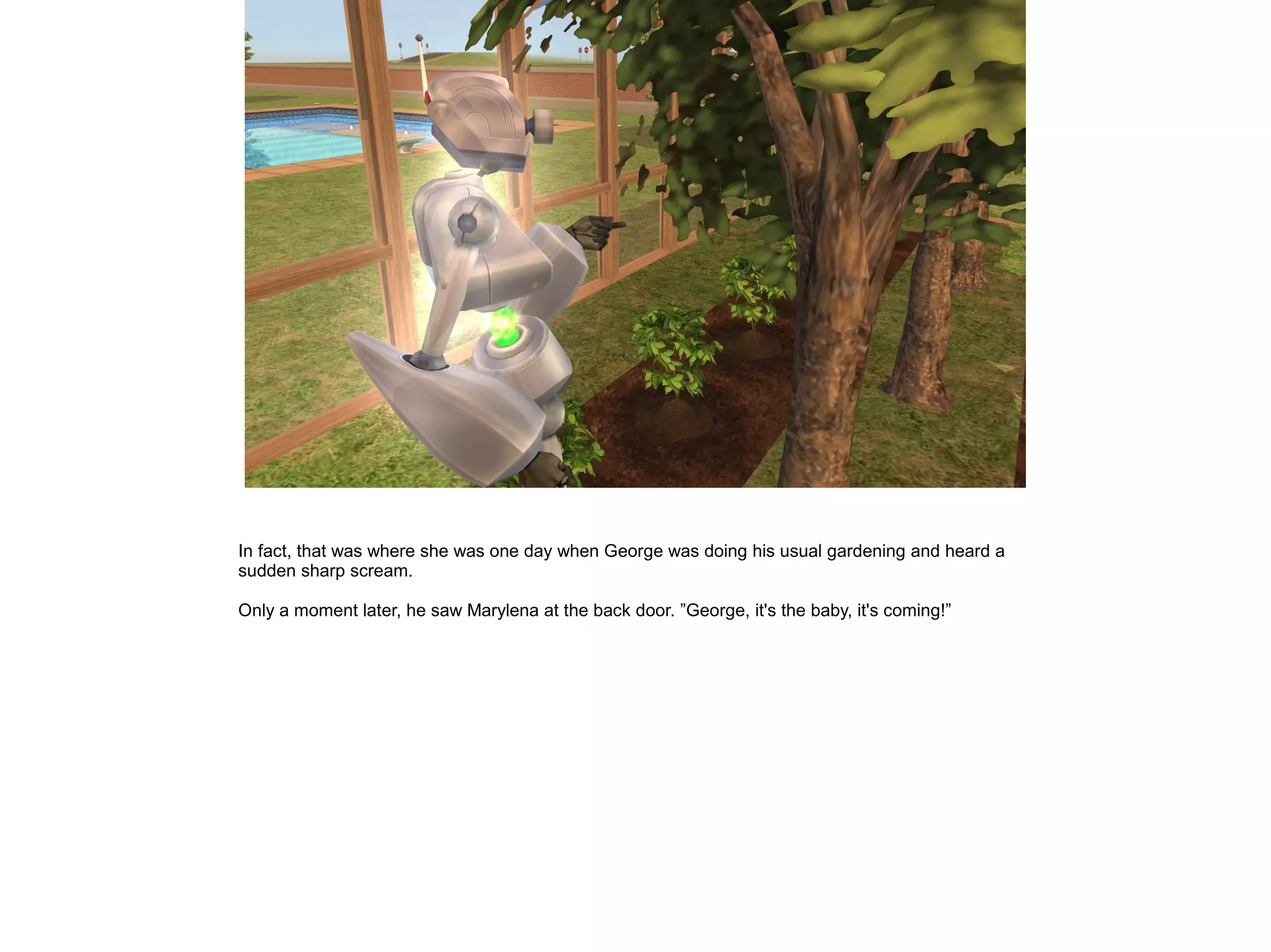 In fact, that was where she was one day when George was doing his usual gardening and heard a
sudden sharp scream.
Only a moment later, he saw Marylena at the back door. ”George, it's the baby, it's coming!”
 