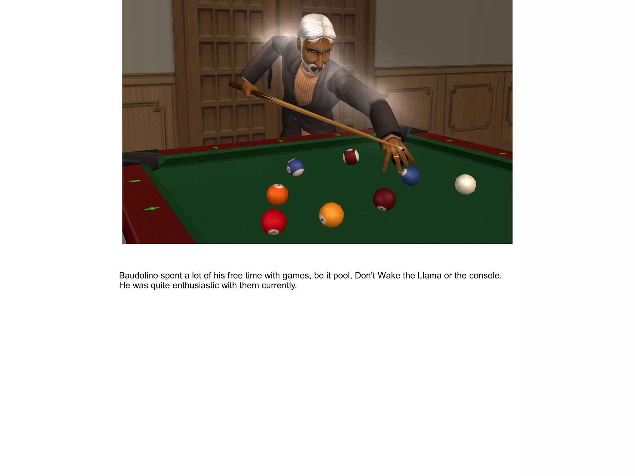 Baudolino spent a lot of his free time with games, be it pool, Don't Wake the Llama or the console.
He was quite enthusiastic with them currently.
 