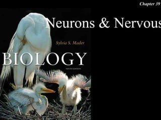 Neurons & Nervous
Chapter 39
 