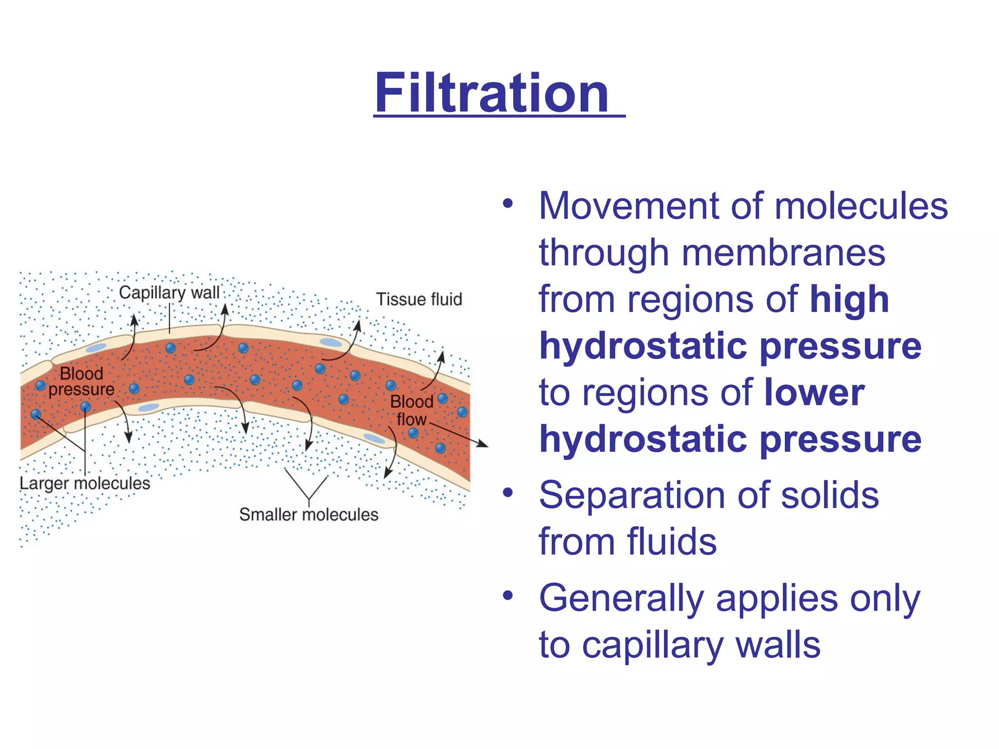 Filtration  Movement of molecules through membranes from regions of  high hydrostatic pressure  to regions of  lower hydrostatic pressure   Separation of solids from fluids Generally applies only to capillary walls 