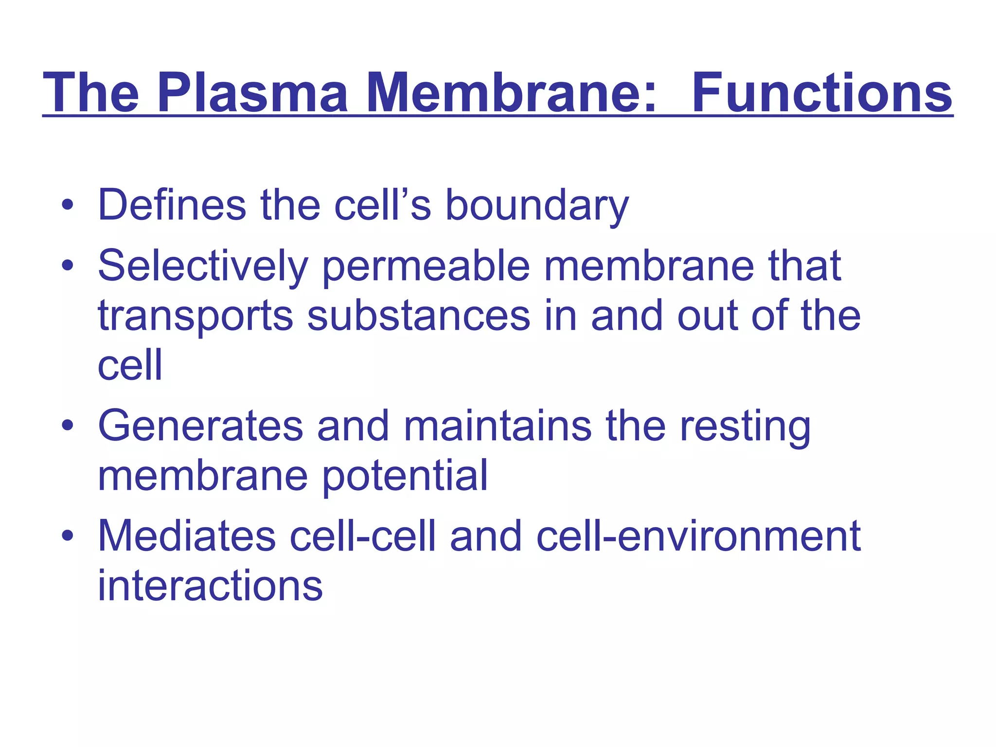 The Plasma Membrane:  Functions Defines the cell’s boundary Selectively permeable membrane that transports substances in and out of the cell Generates and maintains the resting membrane potential Mediates cell-cell and cell-environment interactions 