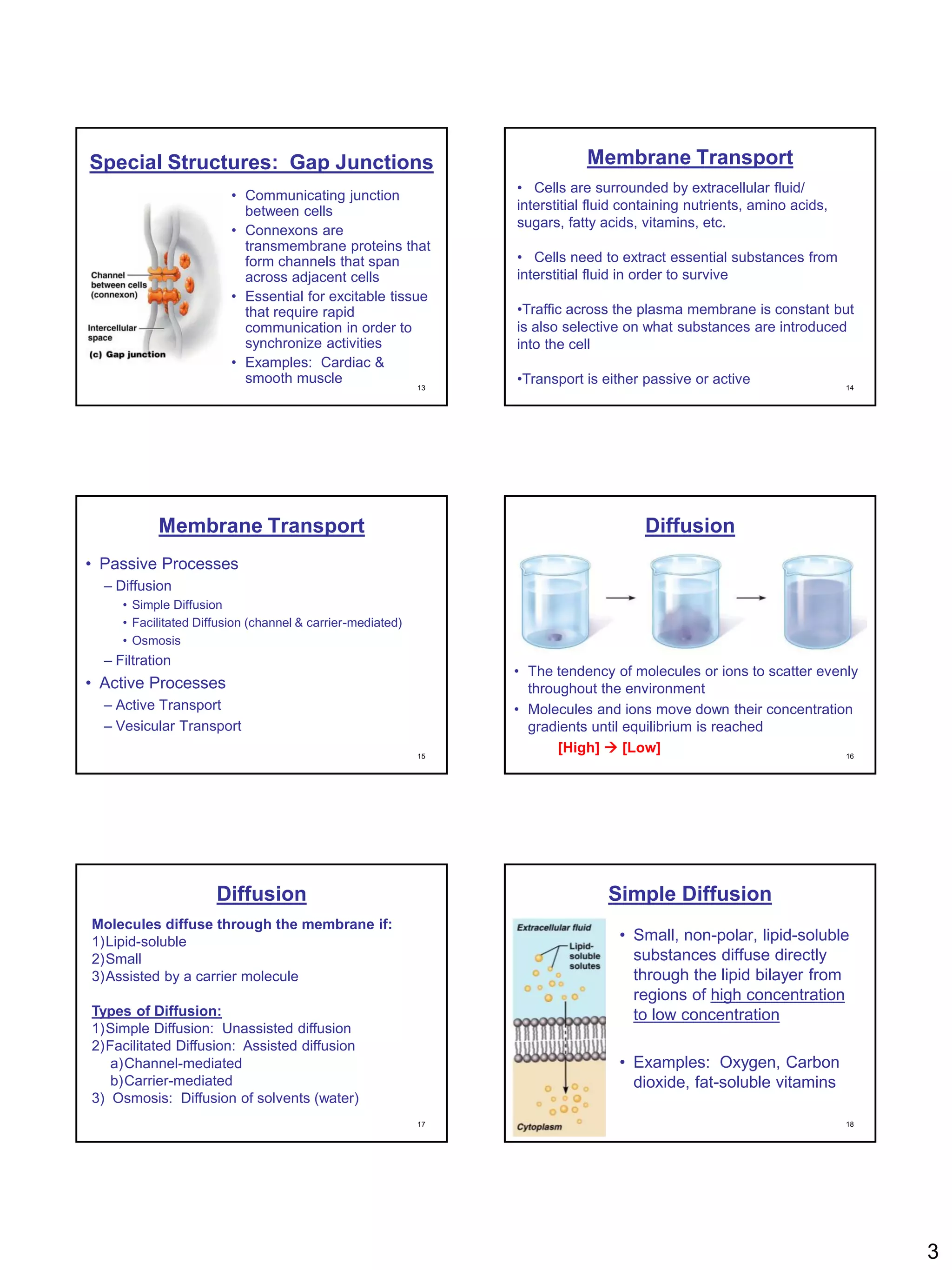 Special Structures: Gap Junctions                                           Membrane Transport
                                                                 • Cells are surrounded by extracellular fluid/
                         • Communicating junction
                           between cells                         interstitial fluid containing nutrients, amino acids,
                                                                 sugars, fatty acids, vitamins, etc.
                         • Connexons are
                           transmembrane proteins that
                           form channels that span               • Cells need to extract essential substances from
                           across adjacent cells                 interstitial fluid in order to survive
                         • Essential for excitable tissue
                           that require rapid                    •Traffic across the plasma membrane is constant but
                           communication in order to             is also selective on what substances are introduced
                           synchronize activities                into the cell
                         • Examples: Cardiac &
                           smooth muscle
                                                            13
                                                                 •Transport is either passive or active                  14




           Membrane Transport                                                         Diffusion
• Passive Processes
  – Diffusion
     • Simple Diffusion
     • Facilitated Diffusion (channel & carrier-mediated)
     • Osmosis
  – Filtration
                                                                 • The tendency of molecules or ions to scatter evenly
• Active Processes                                                 throughout the environment
  – Active Transport                                             • Molecules and ions move down their concentration
  – Vesicular Transport                                            gradients until equilibrium is reached
                                                            15
                                                                        [High]  [Low]                              16




                      Diffusion                                                 Simple Diffusion
Molecules diffuse through the membrane if:
1)Lipid-soluble                                                                   • Small, non-polar, lipid-soluble
2)Small                                                                             substances diffuse directly
3)Assisted by a carrier molecule                                                    through the lipid bilayer from
                                                                                    regions of high concentration
Types of Diffusion:                                                                 to low concentration
1)Simple Diffusion: Unassisted diffusion
2)Facilitated Diffusion: Assisted diffusion
   a)Channel-mediated                                                             • Examples: Oxygen, Carbon
   b)Carrier-mediated                                                               dioxide, fat-soluble vitamins
3) Osmosis: Diffusion of solvents (water)
                                                            17                                                           18




                                                                                                                              3
 