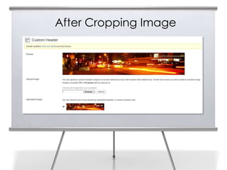 After Cropping Image
 