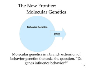 The New Frontier:  Molecular Genetics Molecular genetics is a branch extension of behavior genetics that asks the question...