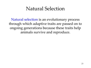 Natural Selection Natural selection  is an evolutionary process through which adaptive traits are passed on to ongoing gen...