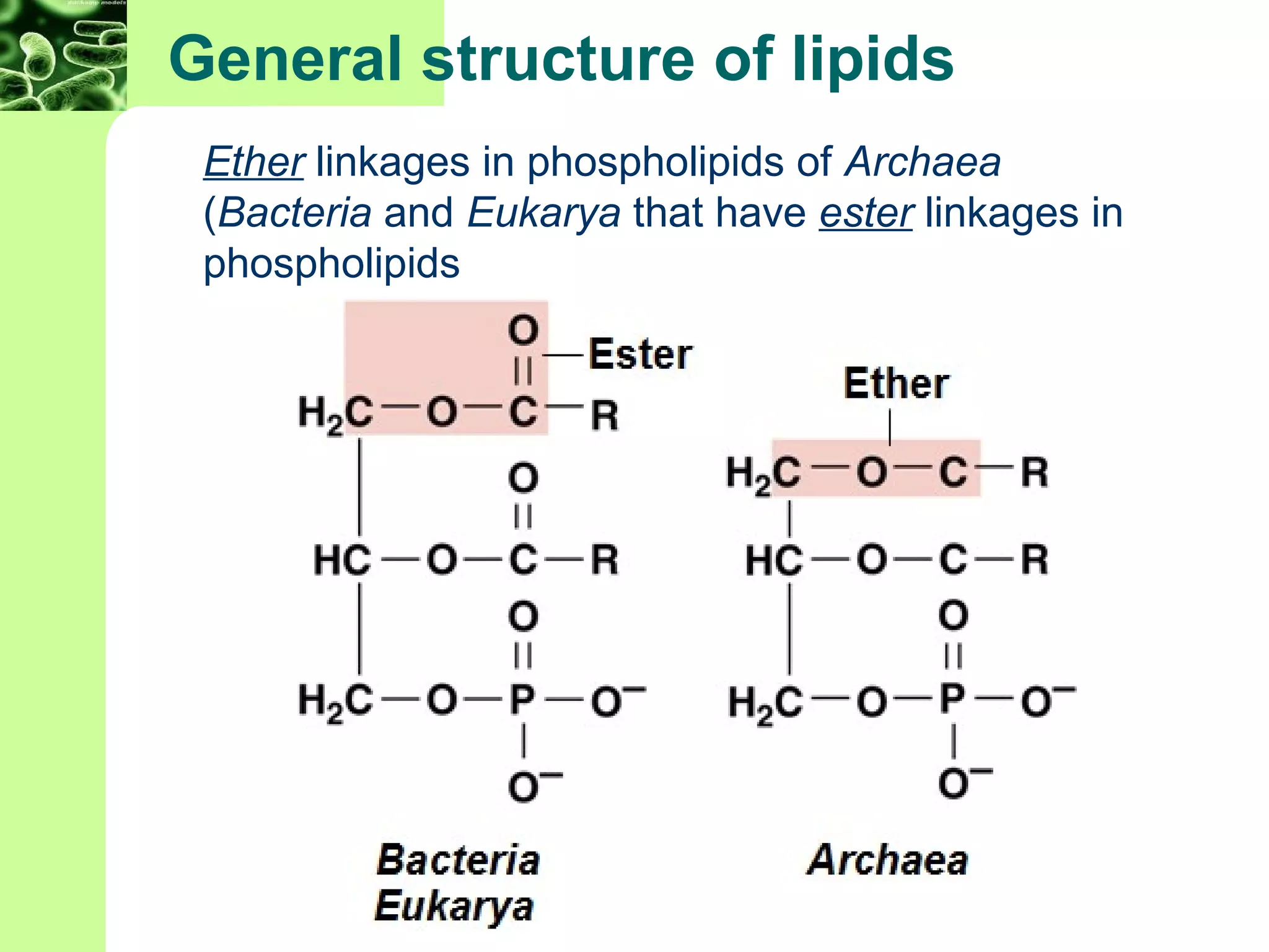 chapter-3-microbiology-8th-edition-ppt
