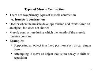 Comprehensive Overview of Muscle Physiology and Contraction Mechanisms ...