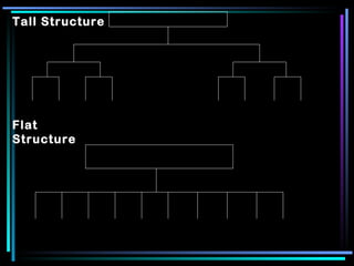 Tall Structure Flat Structure 