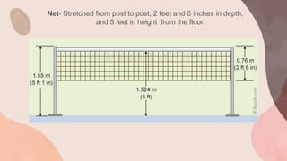 Net- Stretched from post to post, 2 feet and 6 inches in depth,
and 5 feet in height from the floor.
 