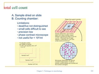 total cell count
A. Sample dried on slide
B. Counting chamber:
Limitations:
- dead/live not distinguished
- small cells di...