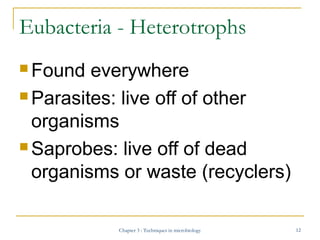 Eubacteria - Heterotrophs
 Found

everywhere
 Parasites: live off of other
organisms
 Saprobes: live off of dead
organi...