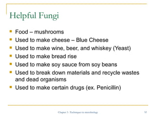 Helpful Fungi









Food – mushrooms
Used to make cheese – Blue Cheese
Used to make wine, beer, and whiskey (Yea...