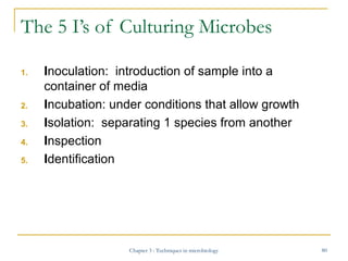 The 5 I’s of Culturing Microbes
1.

2.
3.
4.
5.

Inoculation: introduction of sample into a
container of media
Incubation:...