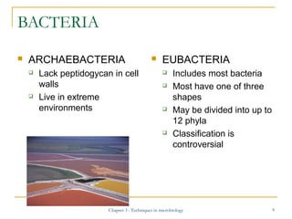 BACTERIA


ARCHAEBACTERIA




Lack peptidogycan in cell
walls
Live in extreme
environments



EUBACTERIA







In...