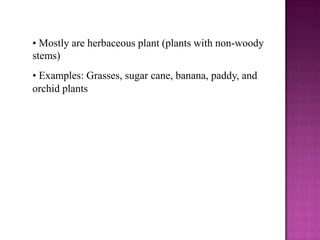 • Mostly are herbaceous plant (plants with non-woody
stems)
• Examples: Grasses, sugar cane, banana, paddy, and
orchid pla...