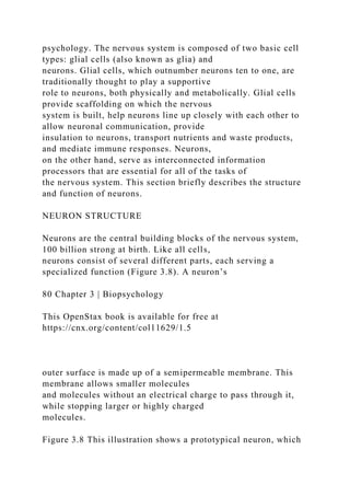 Chapter 3BiopsychologyFigure 3.1 Different brain imagi.docx