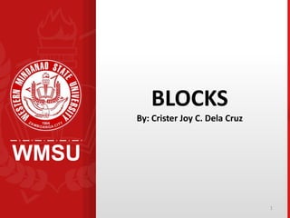 WMSU
1
BLOCKS
By: Crister Joy C. Dela Cruz
 