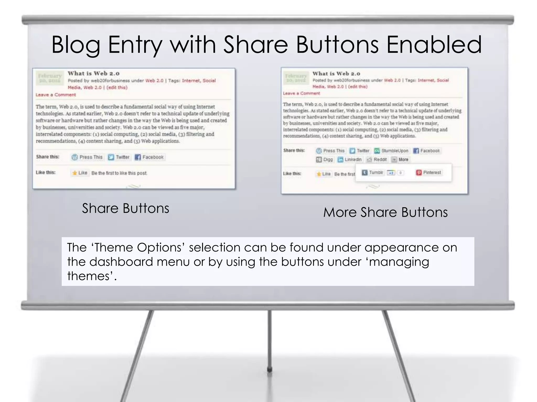 Blog Entry with Share Buttons Enabled
The „Theme Options‟ selection can be found under appearance on
the dashboard menu or by using the buttons under „managing
themes‟.
Share Buttons More Share Buttons
 