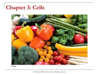 Chapter 3: Cells
© 2013 John Wiley & Sons, Inc. All rights reserved.
 