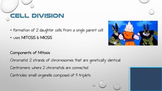 • formation of 2 daughter cells from a single parent cell
• uses MITOSIS & MIOSIS
Components of Mitosis
Chromatid: 2 strands of chromosomes that are genetically identical
Centromere: where 2 chromatids are connected
Centrioles: small organelle composed of 9 triplets
 