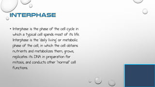 • Interphase is the phase of the cell cycle in
which a typical cell spends most of its life.
Interphase is the 'daily living' or metabolic
phase of the cell, in which the cell obtains
nutrients and metabolizes them, grows,
replicates its DNA in preparation for
mitosis, and conducts other "normal" cell
functions.
 