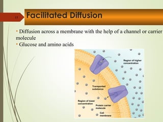 Chapter 3 cells,Human Anatomy and physiology I.ppt
