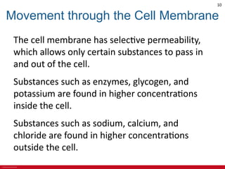 CHAPTER 3 Cell Structures and Their Functions Lecture Outline.pdf