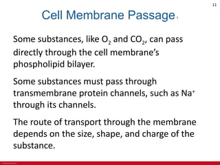 CHAPTER 3 Cell Structures and Their Functions Lecture Outline.pdf